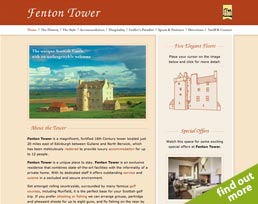 find out more about the Fenton Tower website design