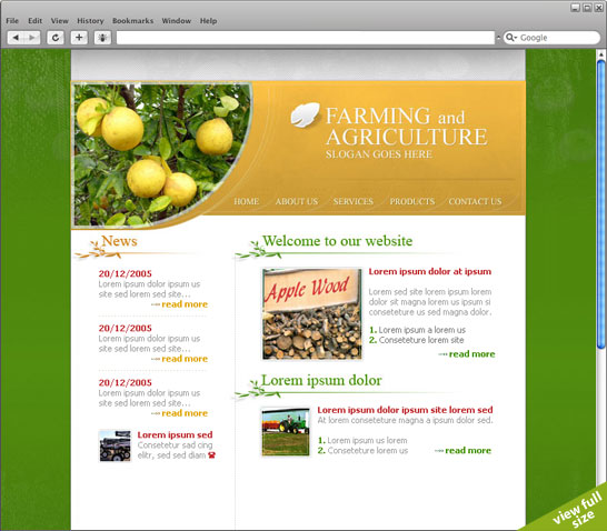view full size design (new window)