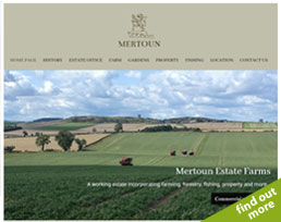 find out more about the Mertoun website design